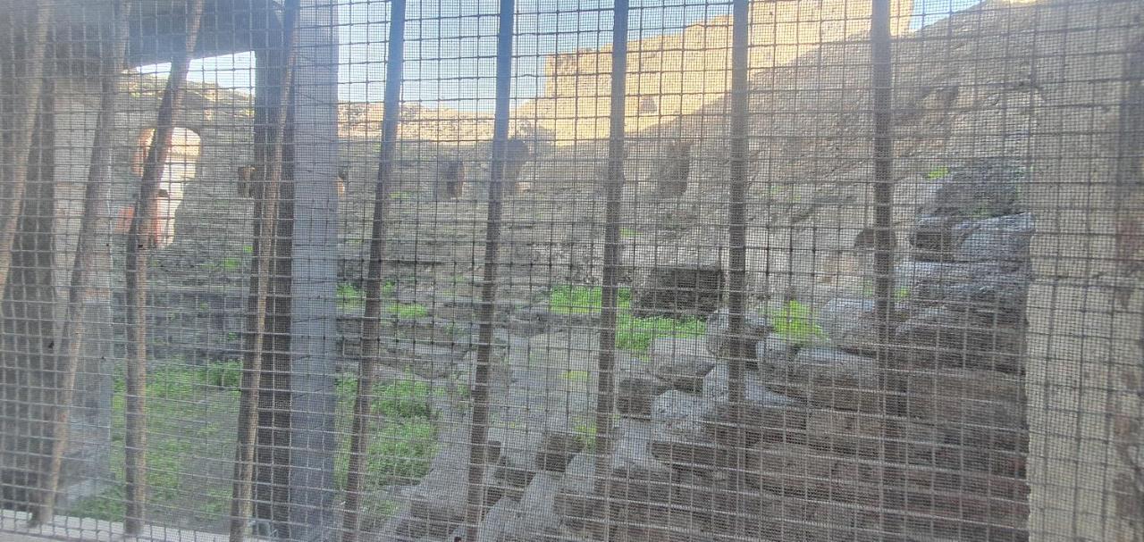 Apartamento Domus Odeon La Casa Nel Parco Archeologico Di CTA Exterior foto